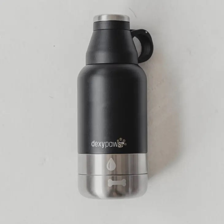 3n1 Insulated Water Bottle
