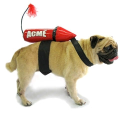Acme Rocket Dog Costume