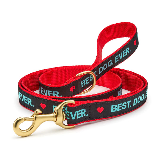 Best Dog Ever Leash by Up Country