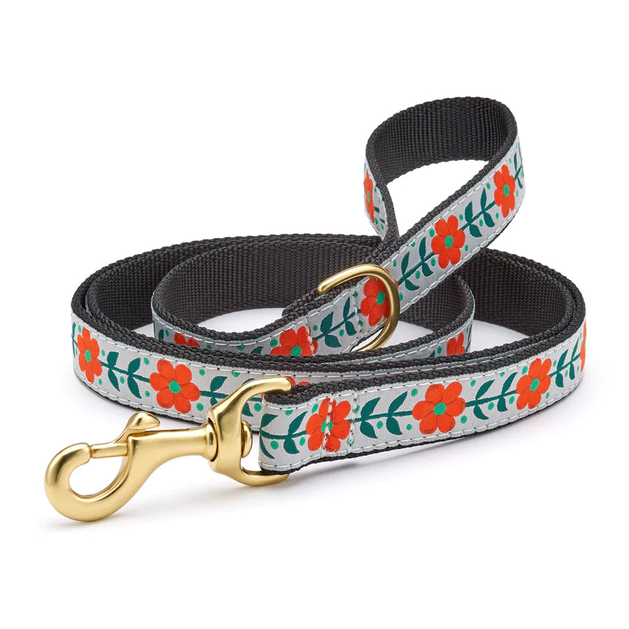 Orange You Pretty Leash by Up Country